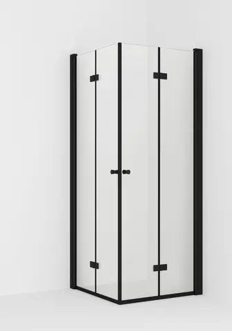 Dusjhjørne leddet LIAM 100x100 100x100x195cm sort matt/klar