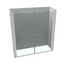 Dusjnisje saloondører LIAM 100 100x195cm sølv/klar